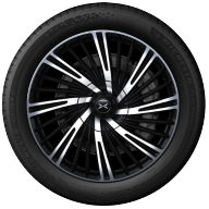 21 colio daugiastipiniai