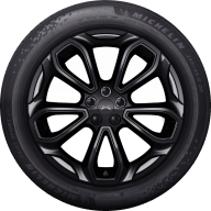 20 colių juodas leidimas