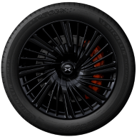 21 colio daugiastipiniai